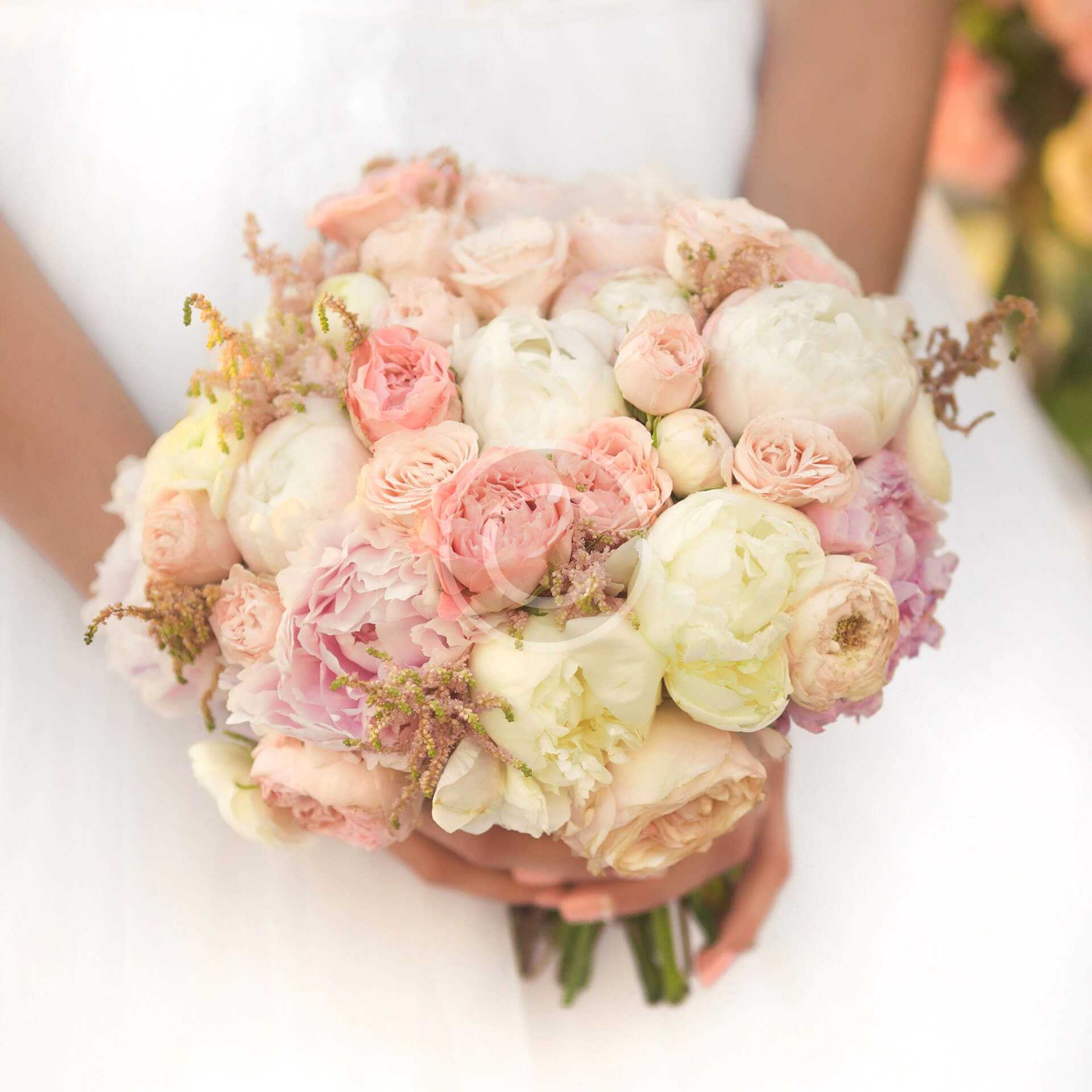 product-19-copyright